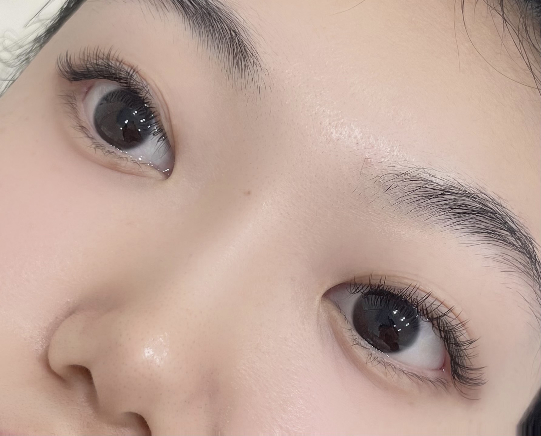 아이오르
