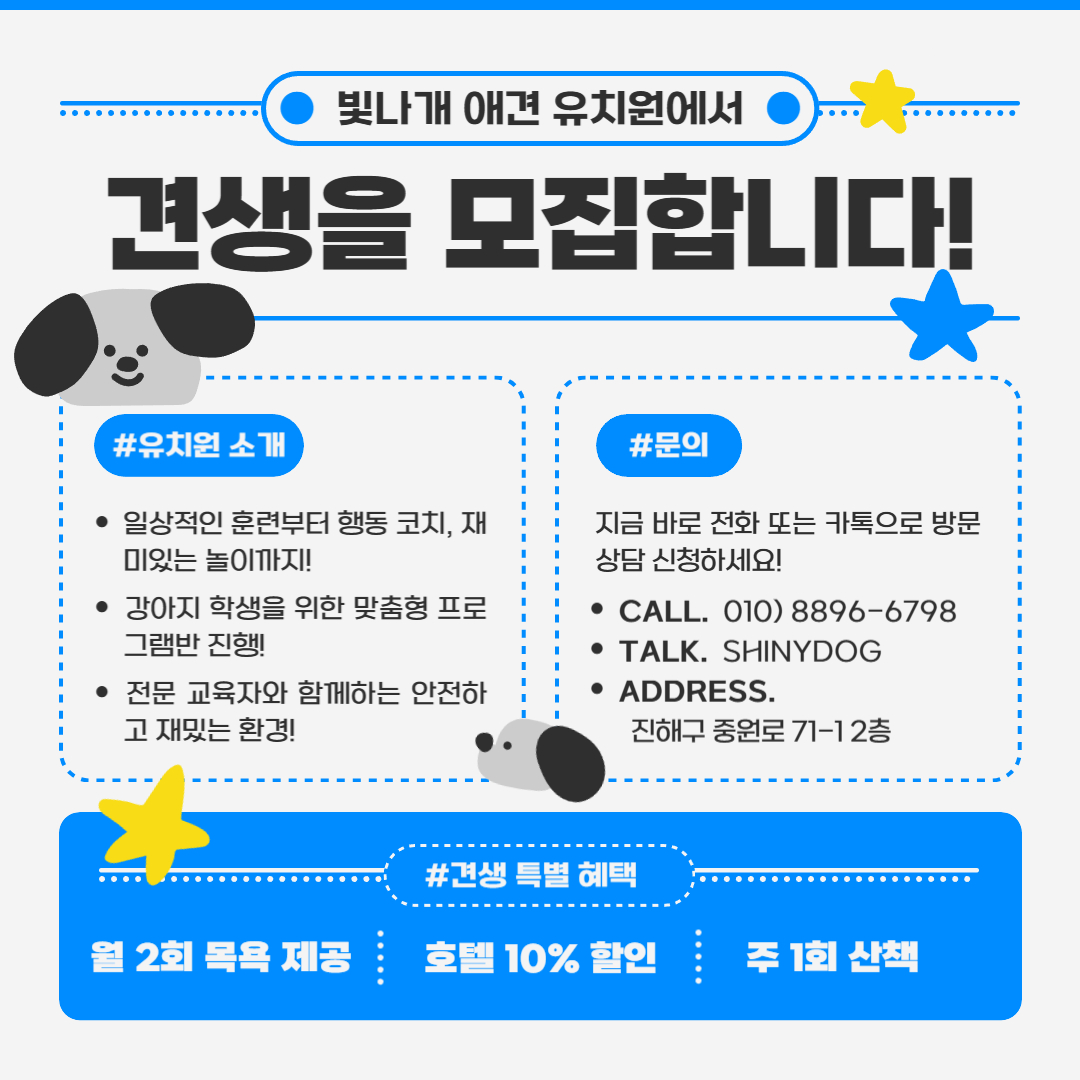 빛나개애견 유치원 대표 이미지