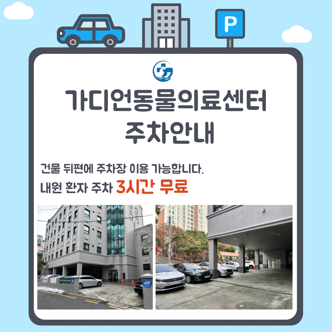 가디언동물의료센터 대표 이미지