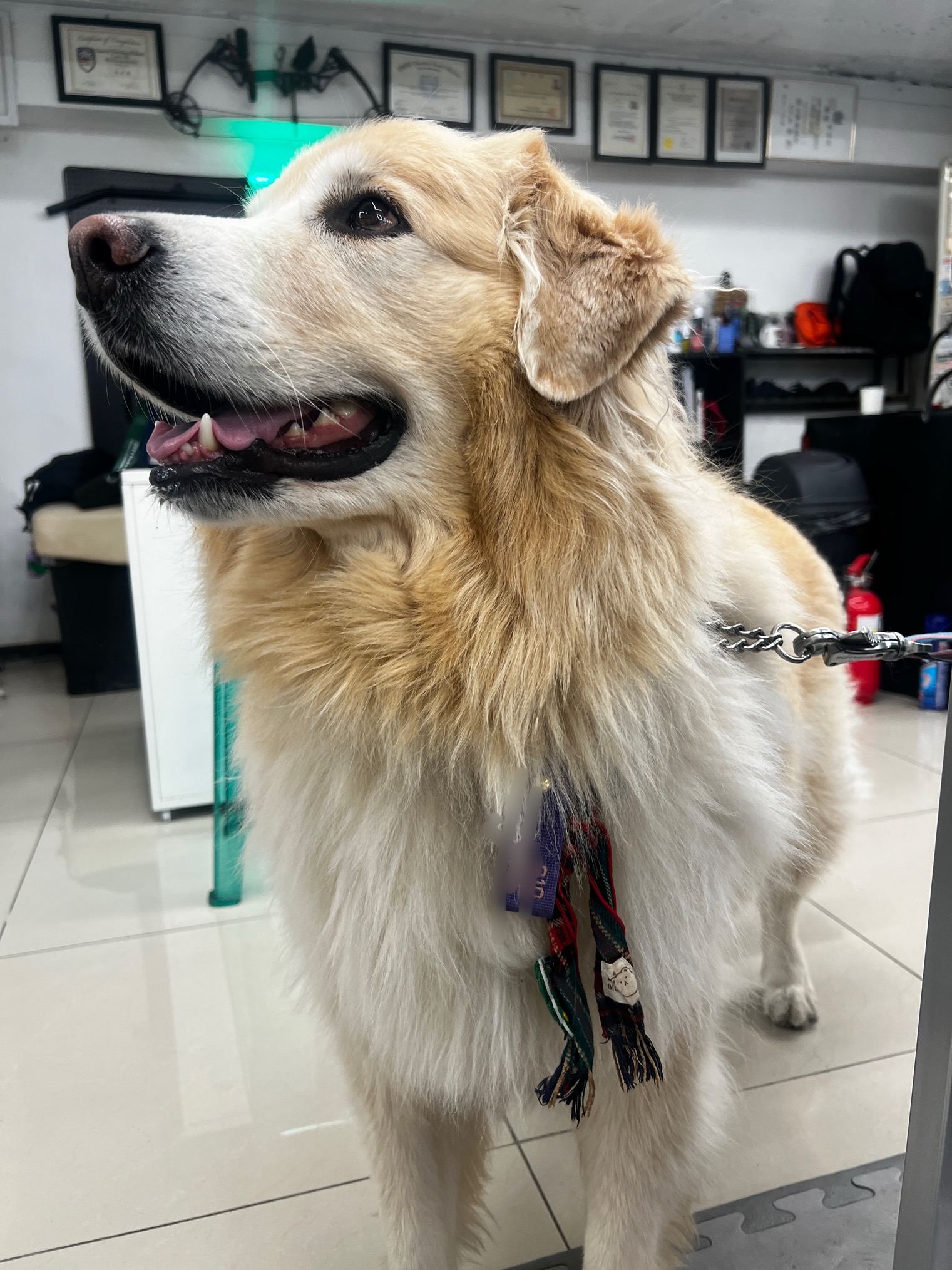 711짐 PT & 칼리아르니스 대표 이미지