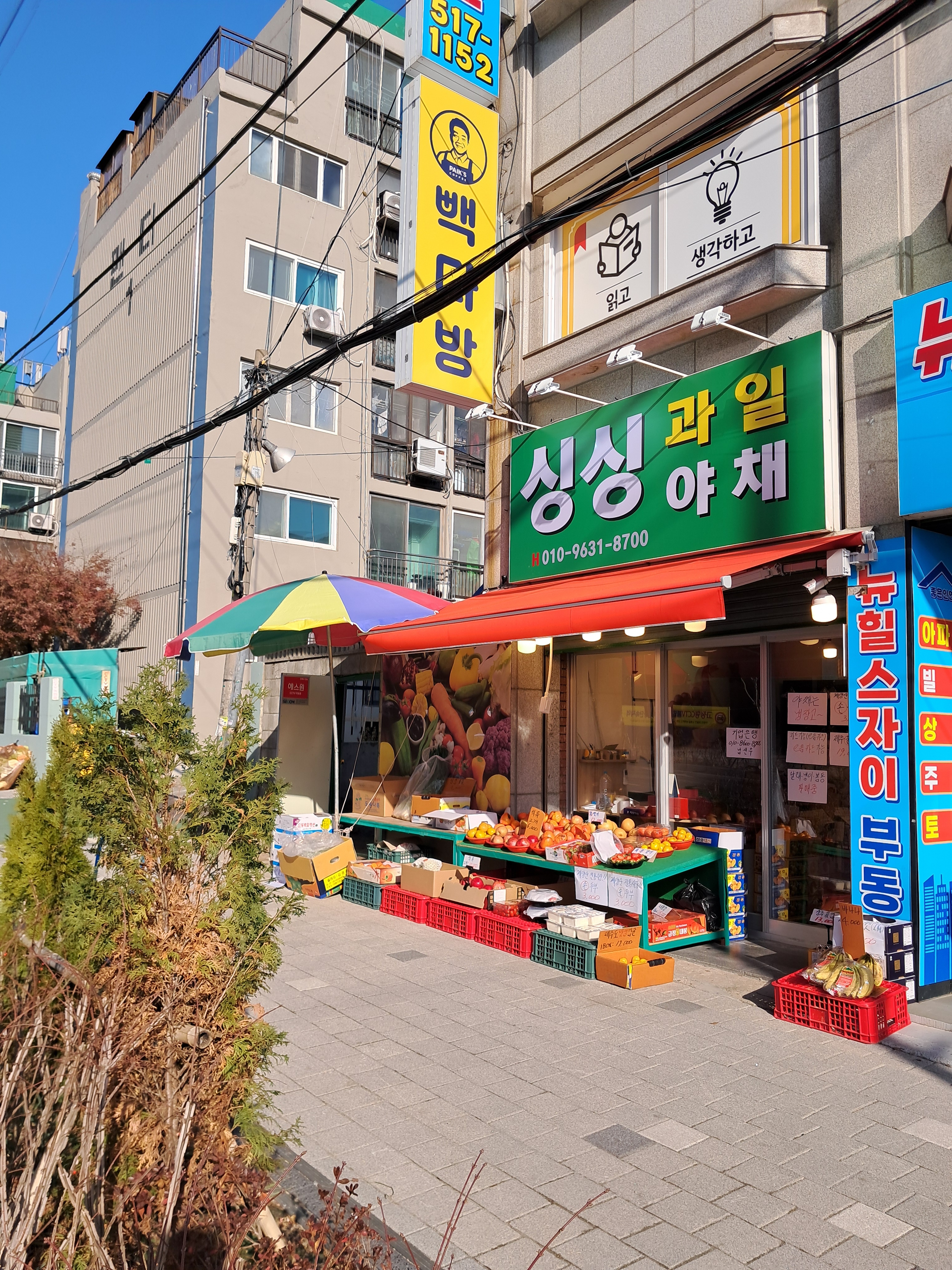 싱싱과일야채