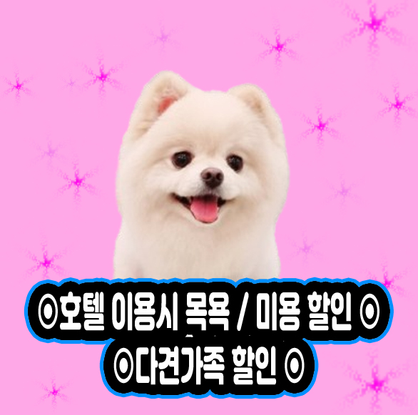 SM펫살롱 대표 이미지