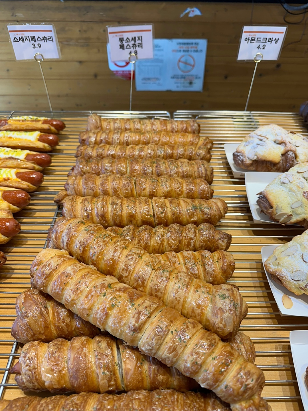 로이드페스츄리