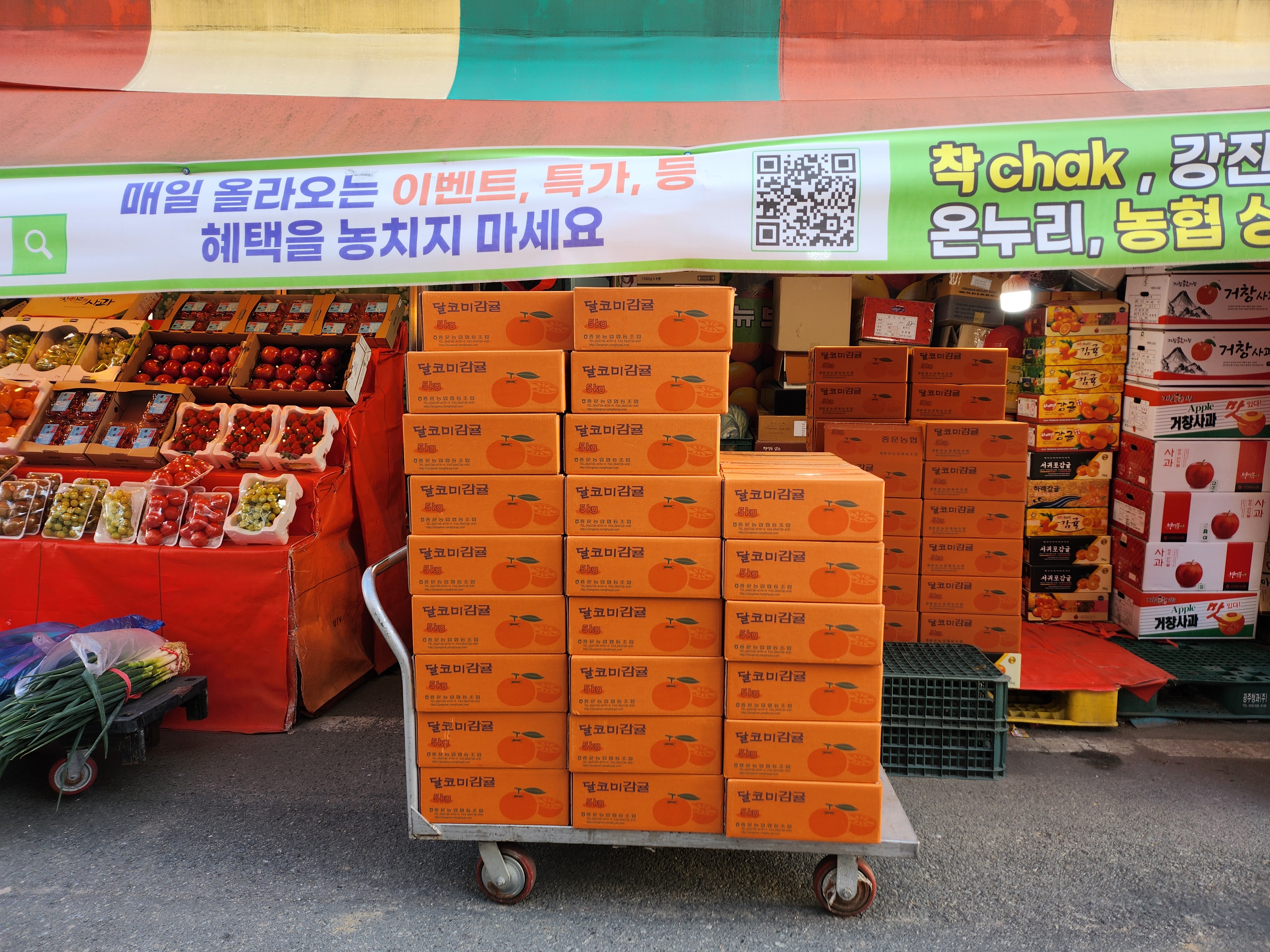 부흥청과상회