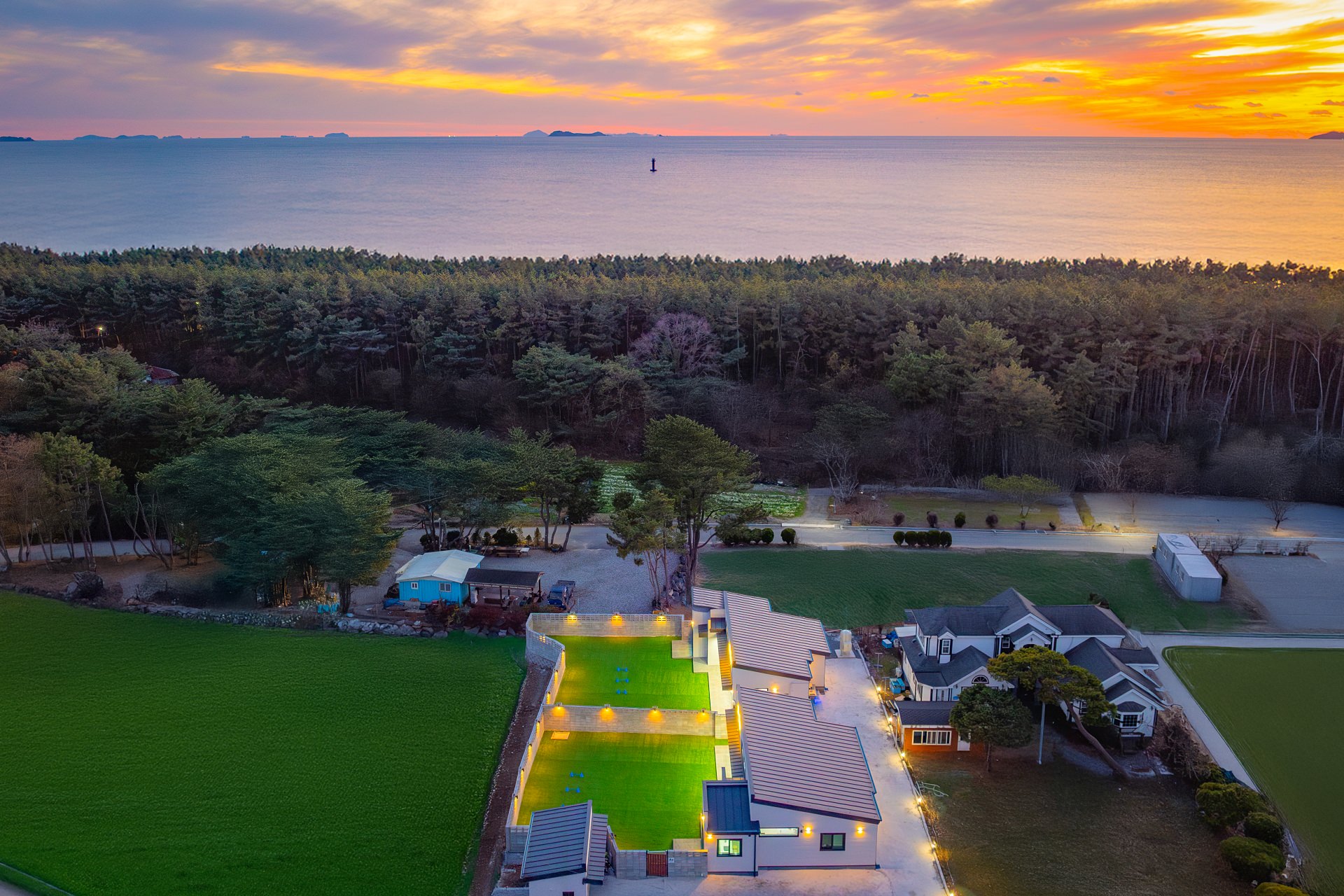 도그데이 애견펜션 대표 이미지