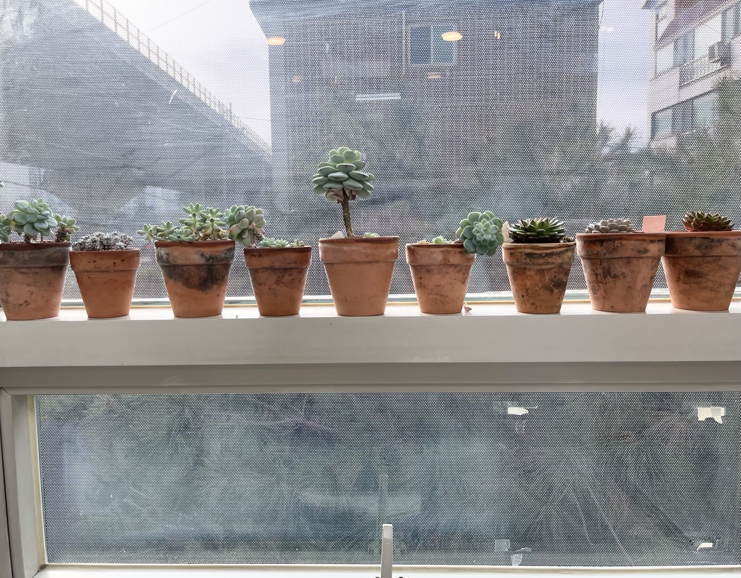 제기유디치과의원 대표 이미지