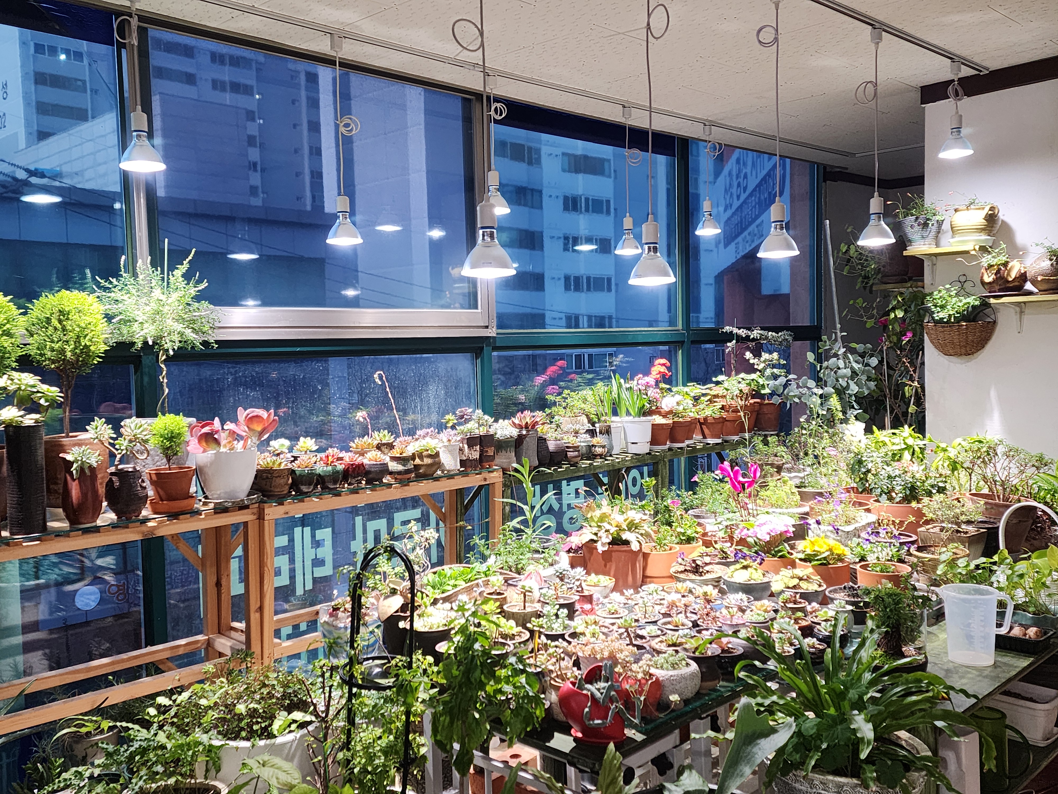 소정명상치유센타 대표 이미지