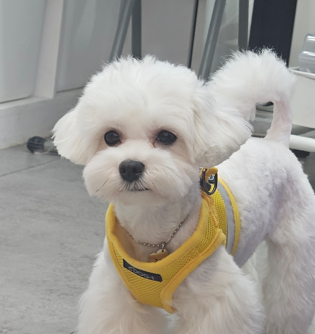 꾸앤쏭 대표 이미지