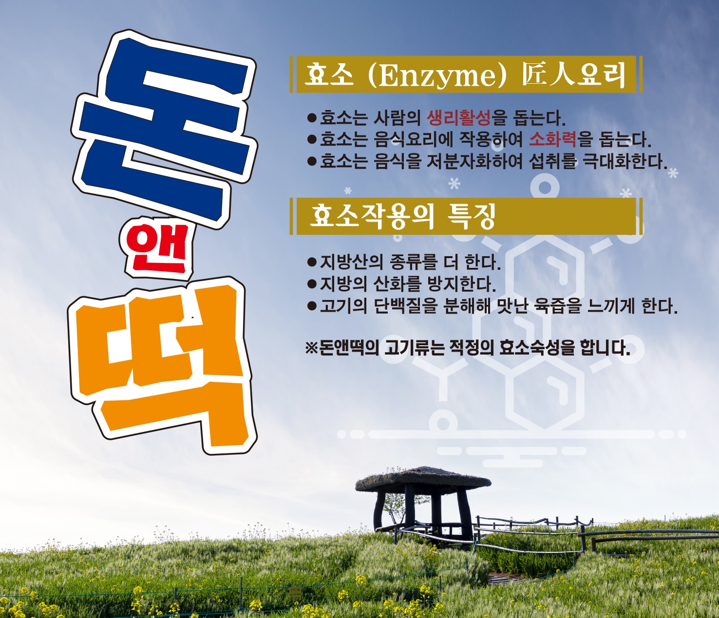 돈앤떡