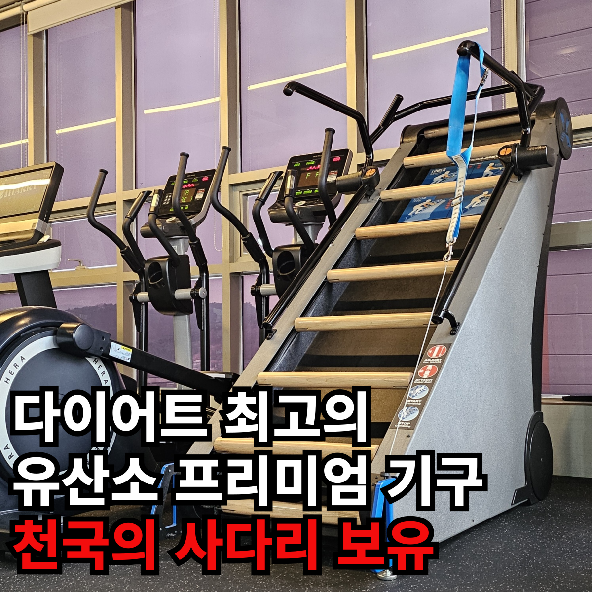 에이스운동과학센터 헬스 & PT 성연점