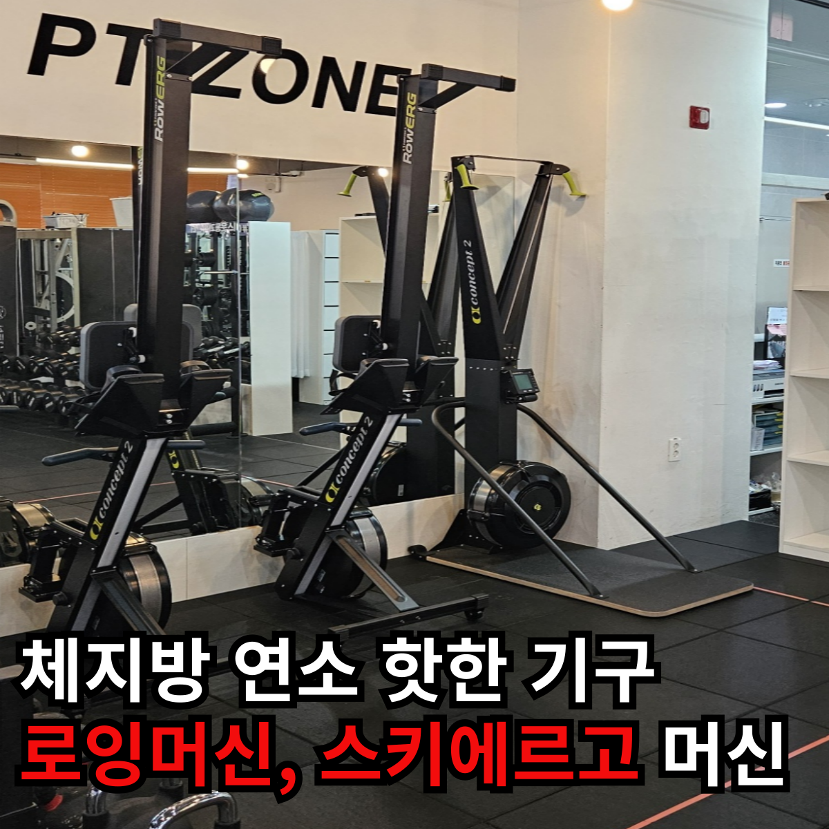 에이스운동과학센터 헬스 & PT 성연점