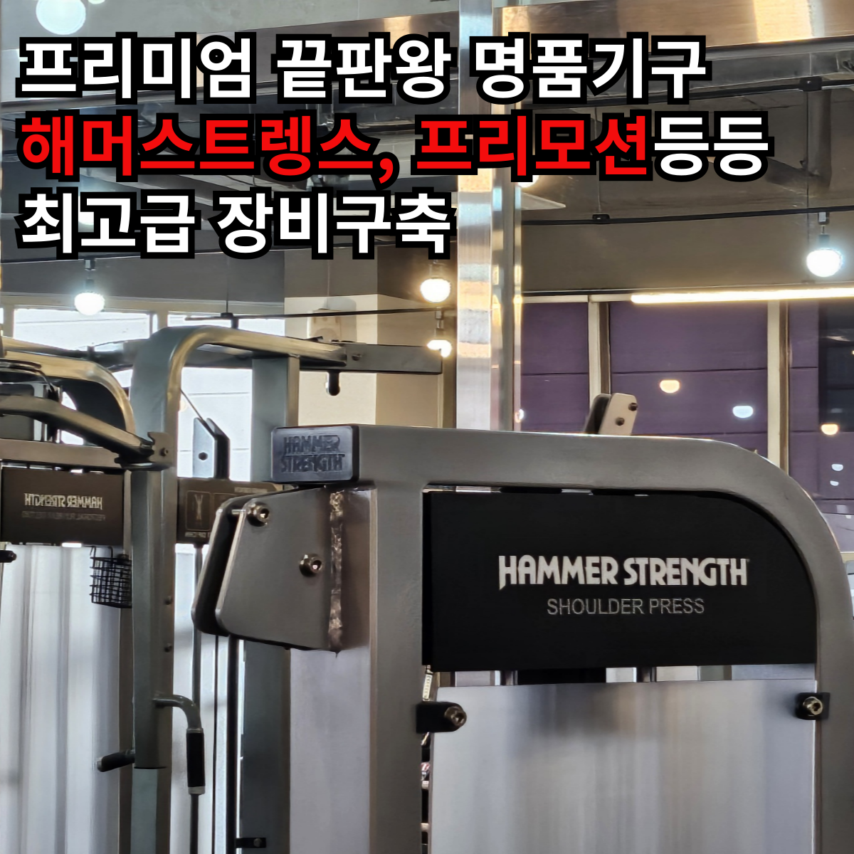 에이스운동과학센터 헬스 & PT 성연점