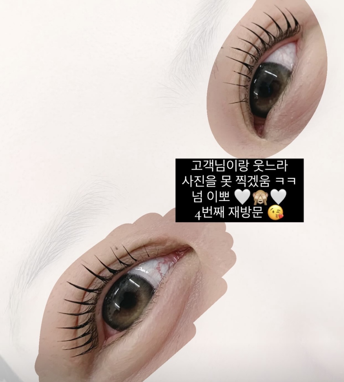 니쥬브로우