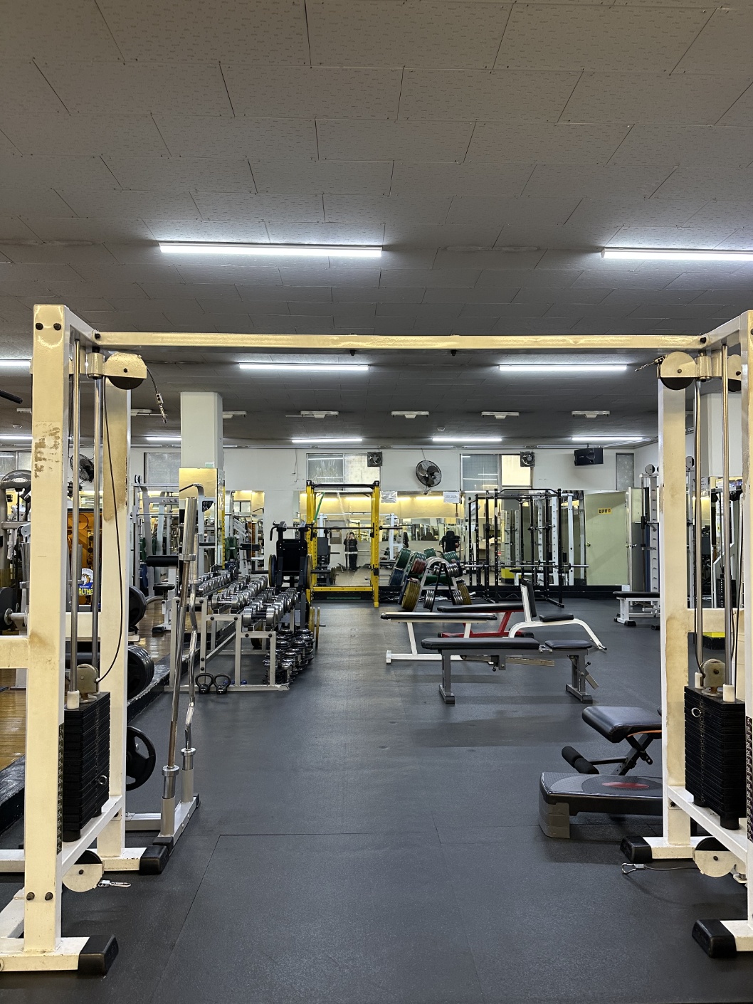 럭키 짐 휘트니스 대표 이미지