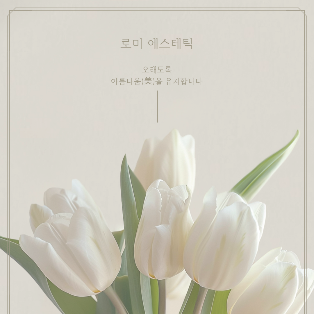 로미에스테틱