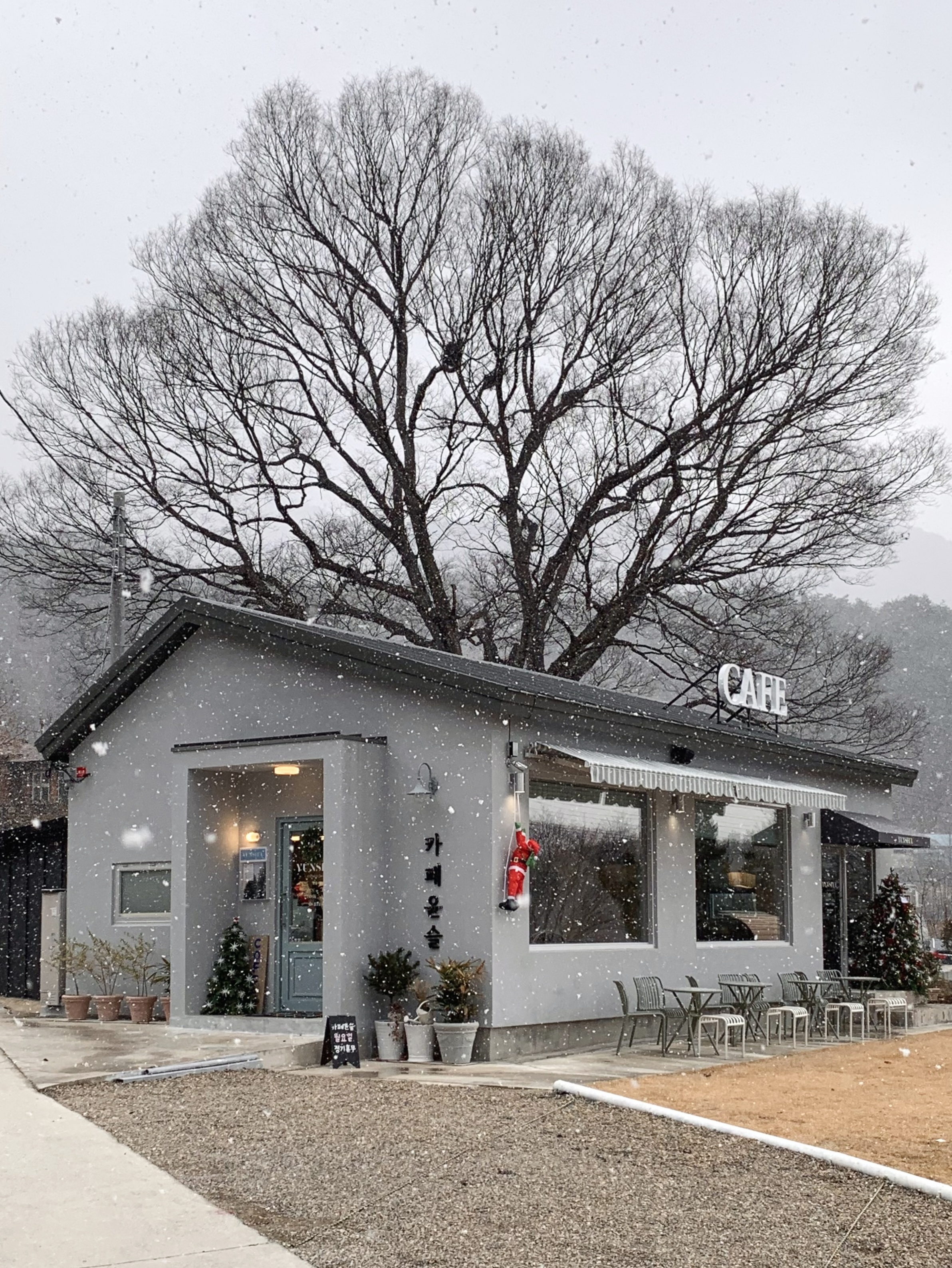 카페윤슬 충청 애견카페