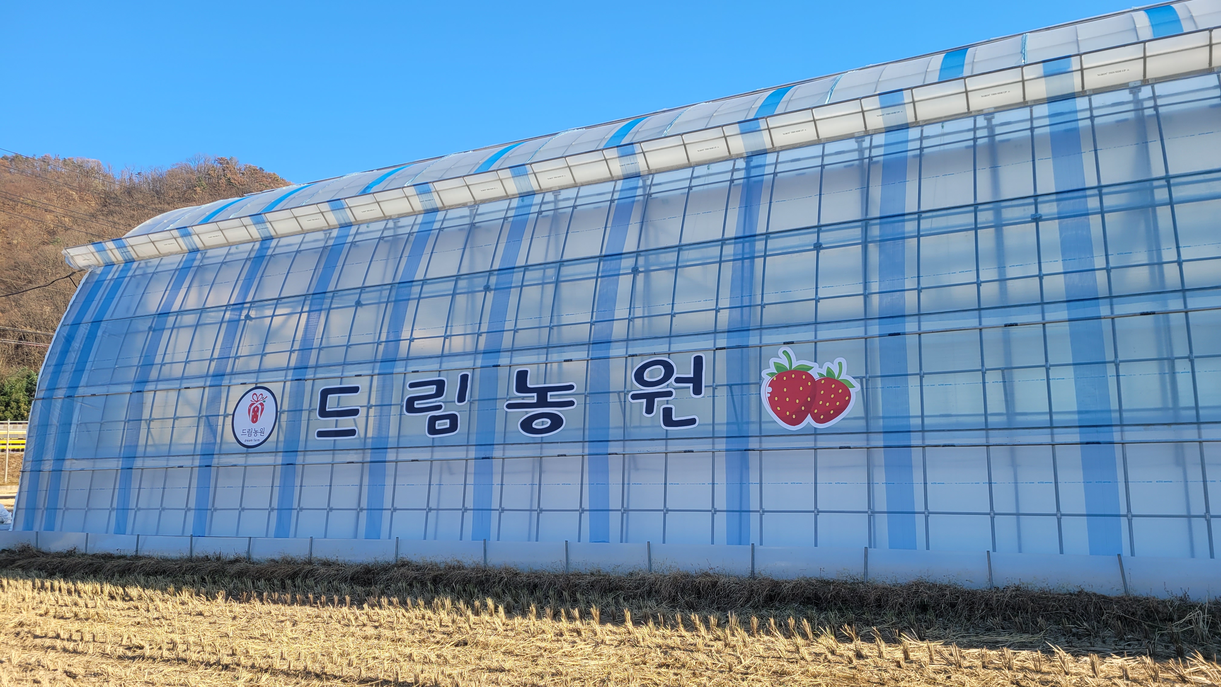 드림농원