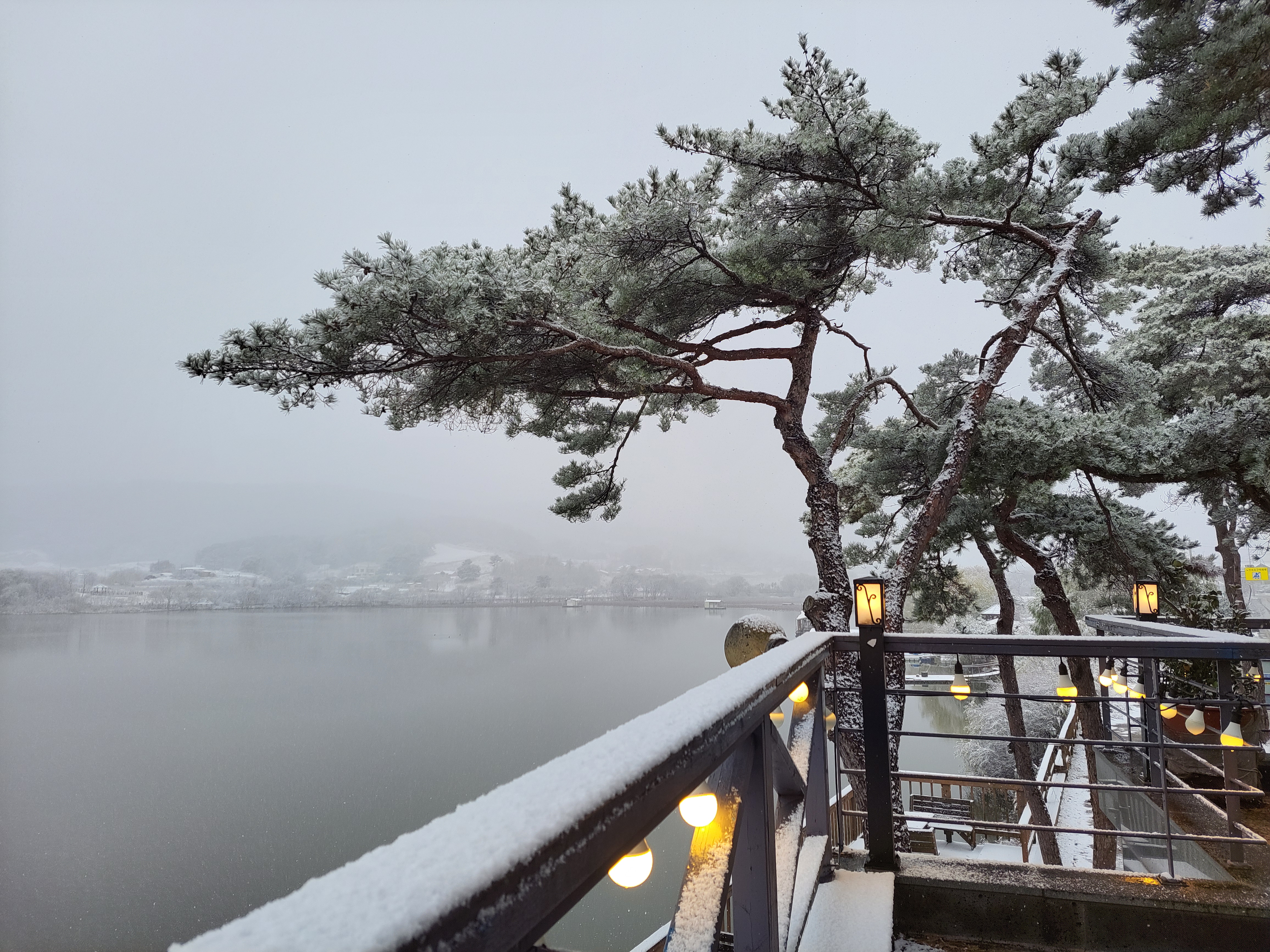 카페더라온