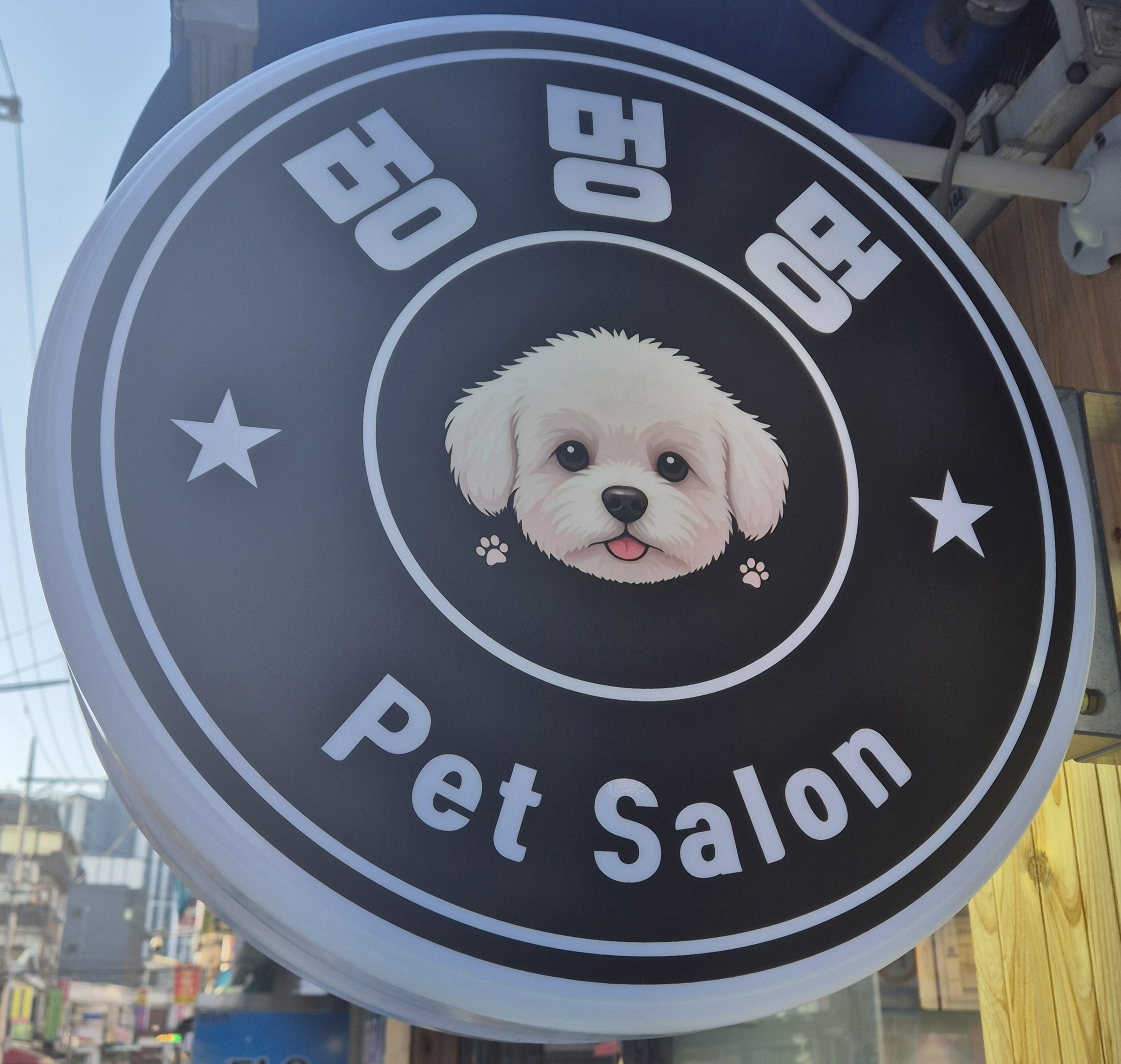 멍멍멍 대표 이미지