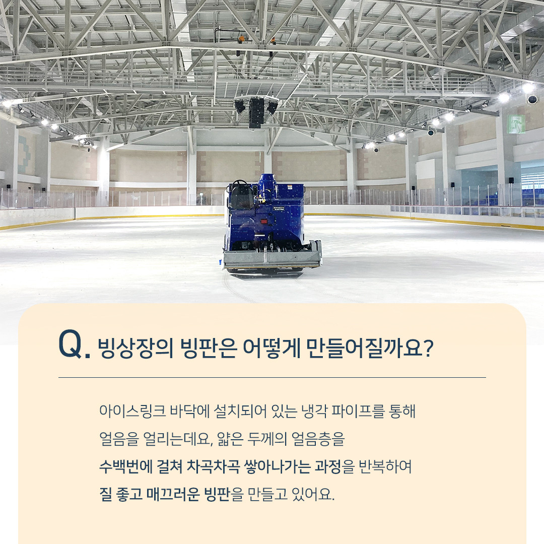세종 반다비 빙상장