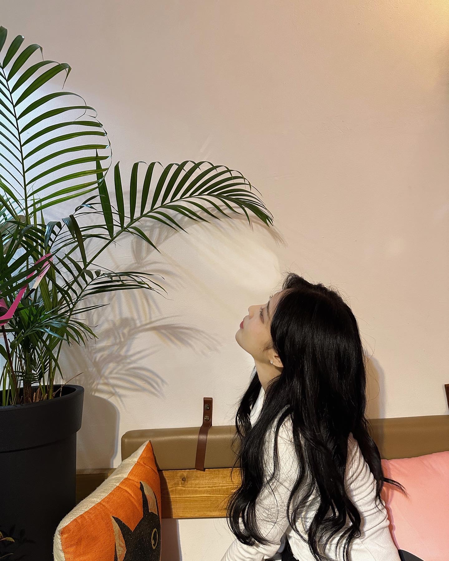 벨라르시 뷰티살롱 더 브라운 경복궁 1호점 대표 이미지