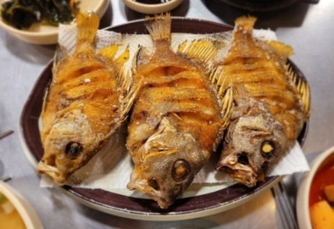 오늘은여기포차
