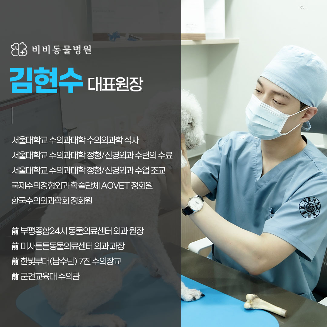 비비동물병원 대표 이미지