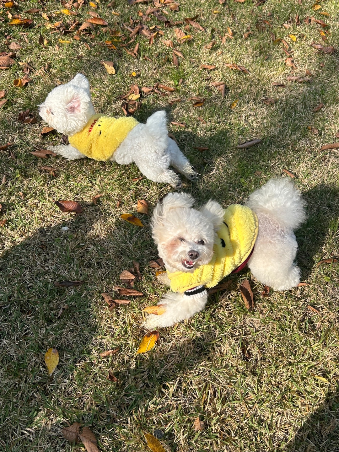카페또또 대표 이미지