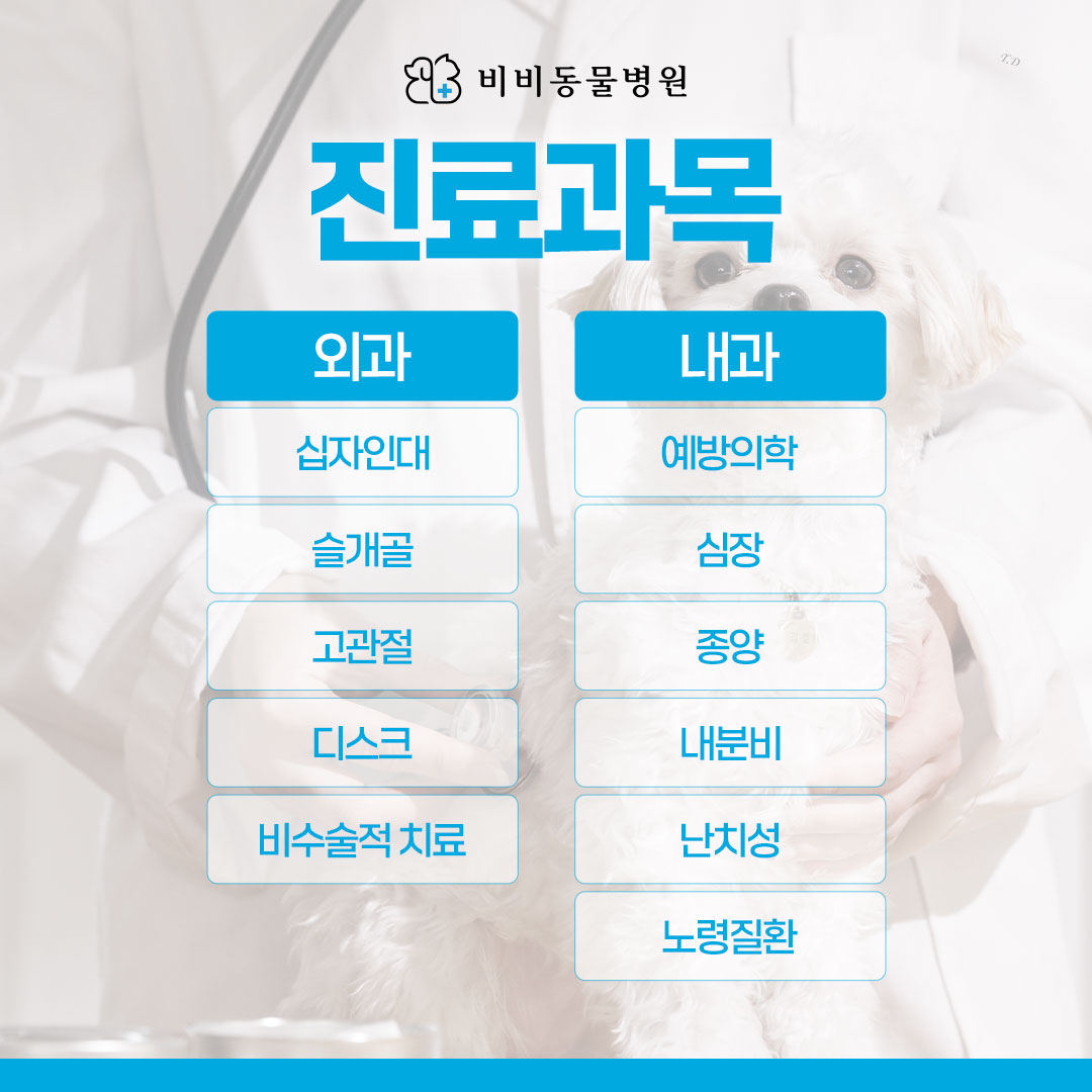 비비동물병원 대표 이미지