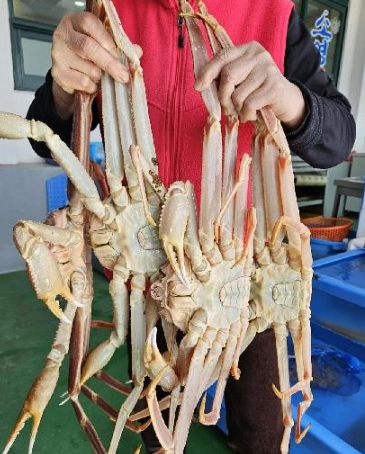 소영횟집