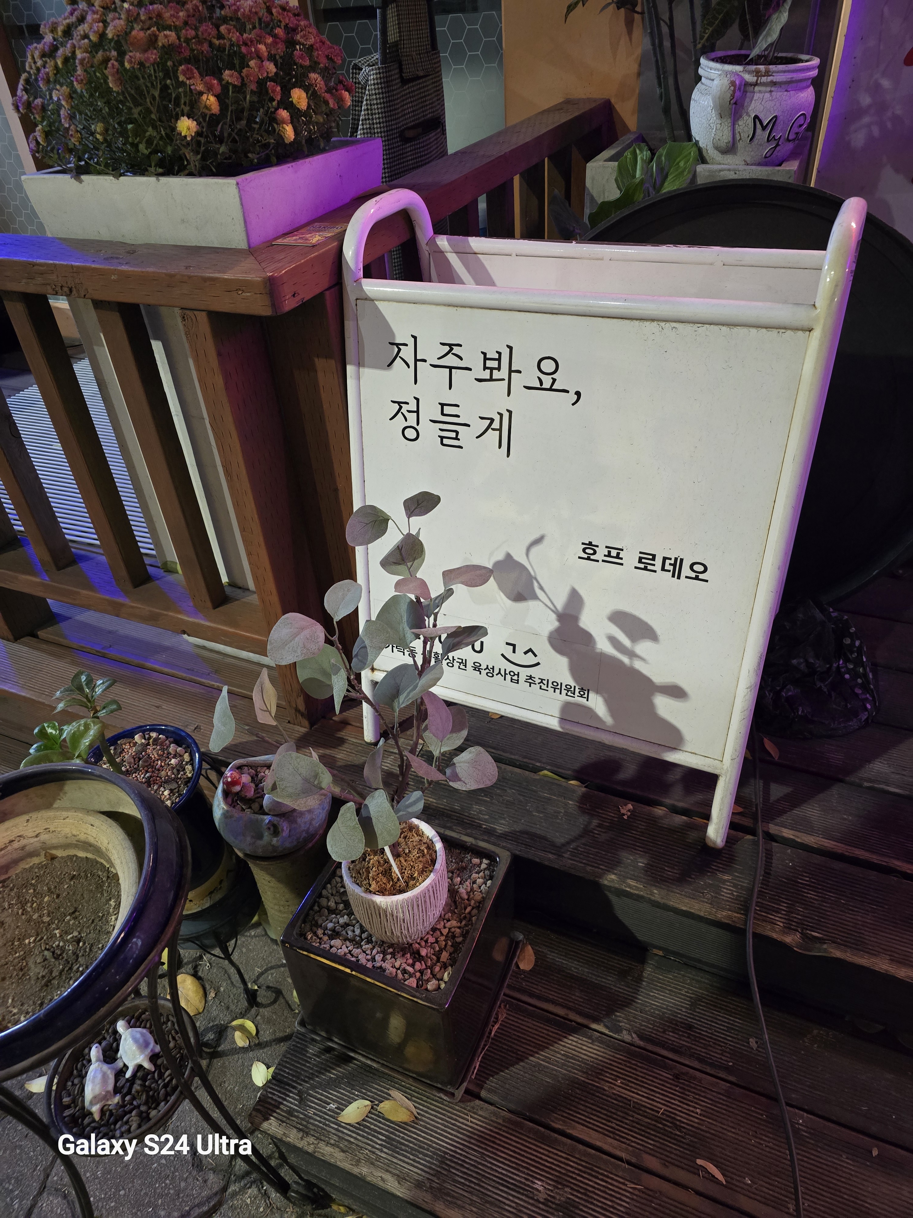 이름없는집