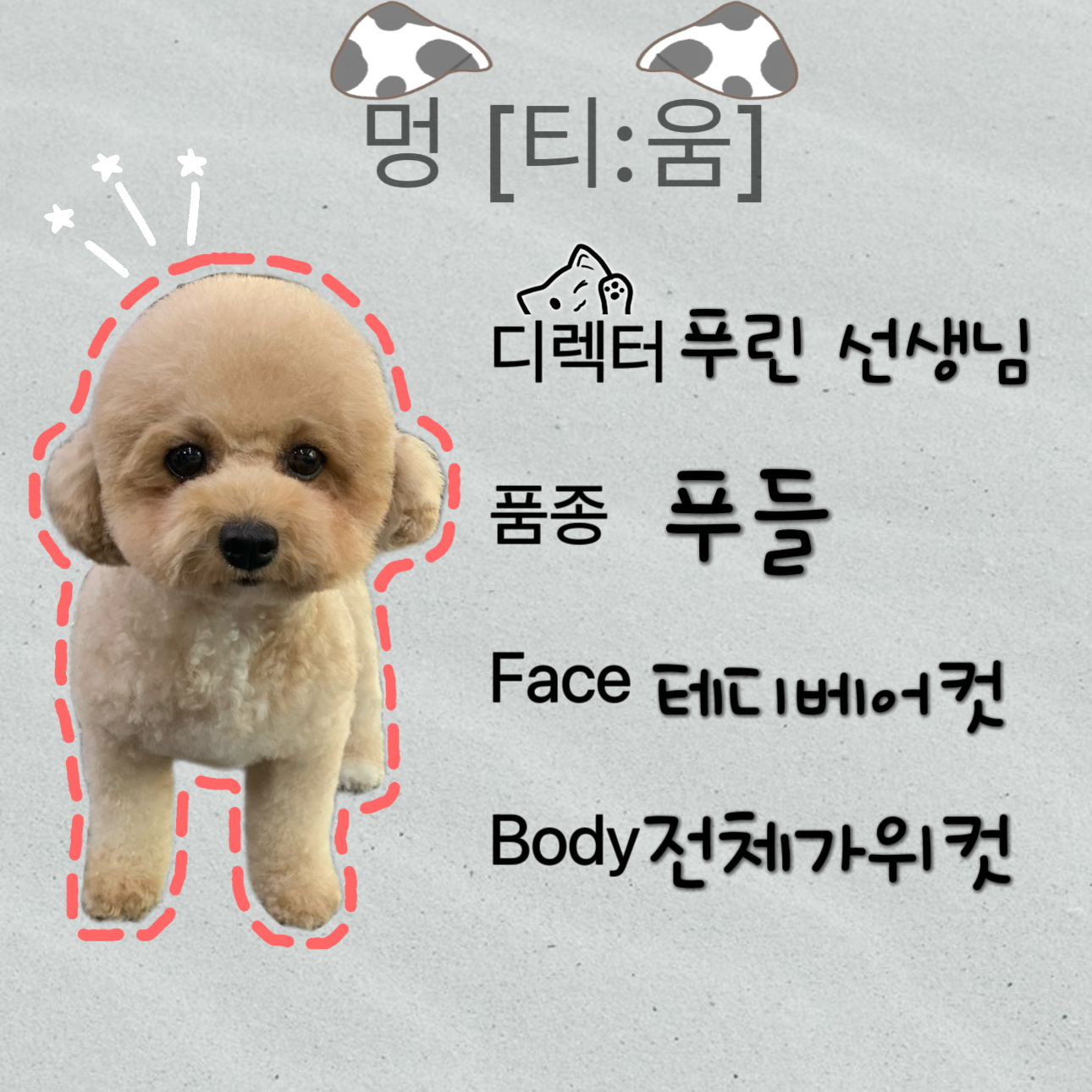소노펫클럽앤리조트 고양 6