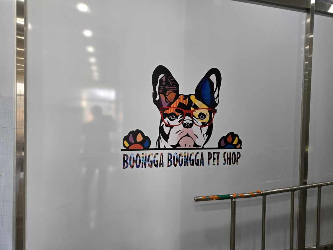 붕가붕가애견샵 이미지