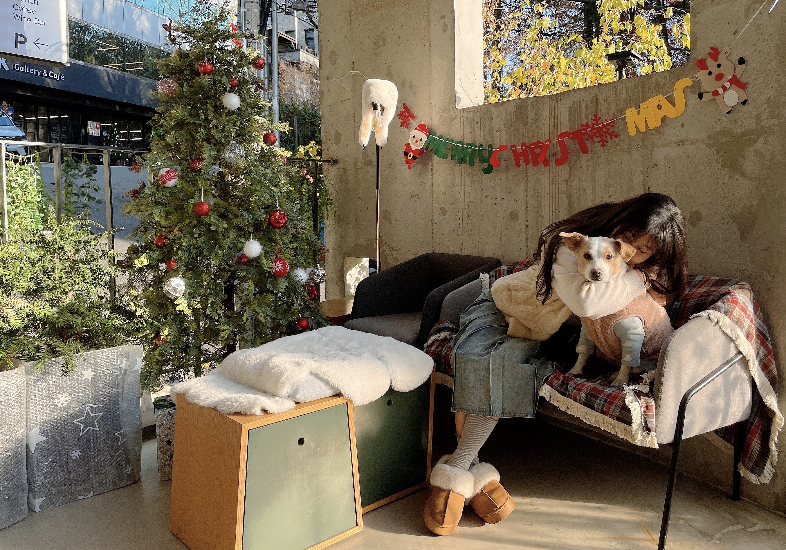 카페282 대표 이미지