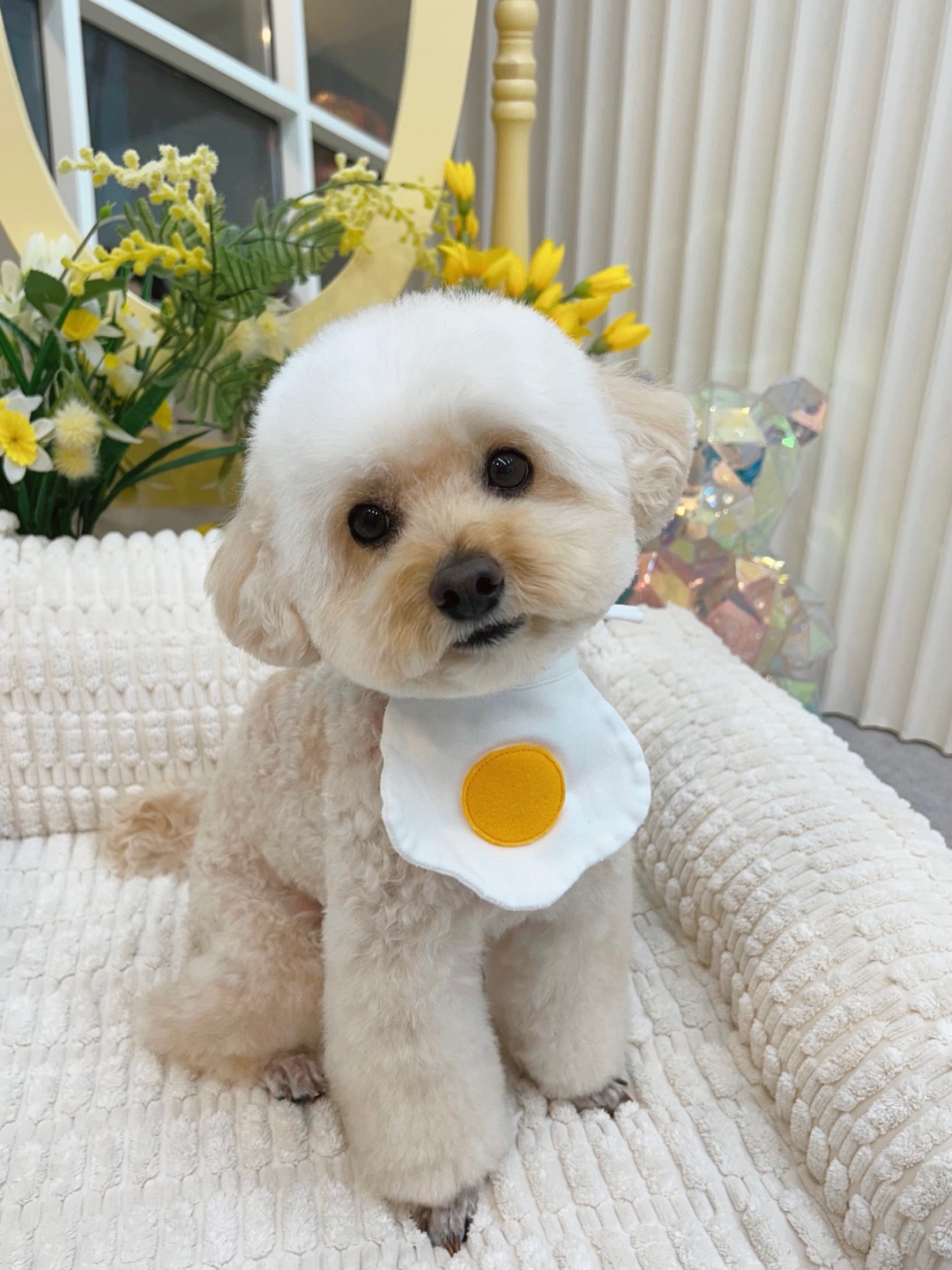 뽁덕방 대표 이미지