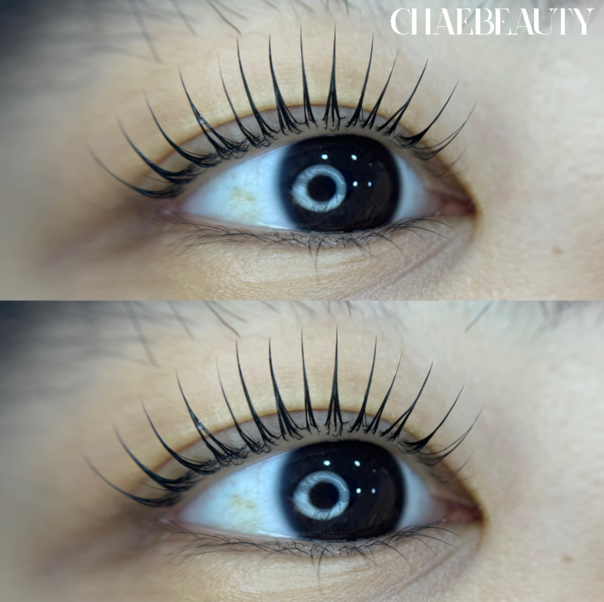 채뷰티 가산본점 대표 이미지