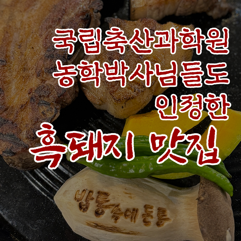 밥통
