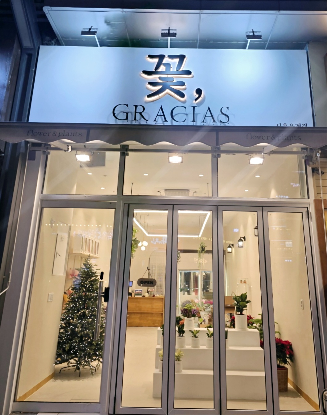 은계꽃집 그라시아스플라워