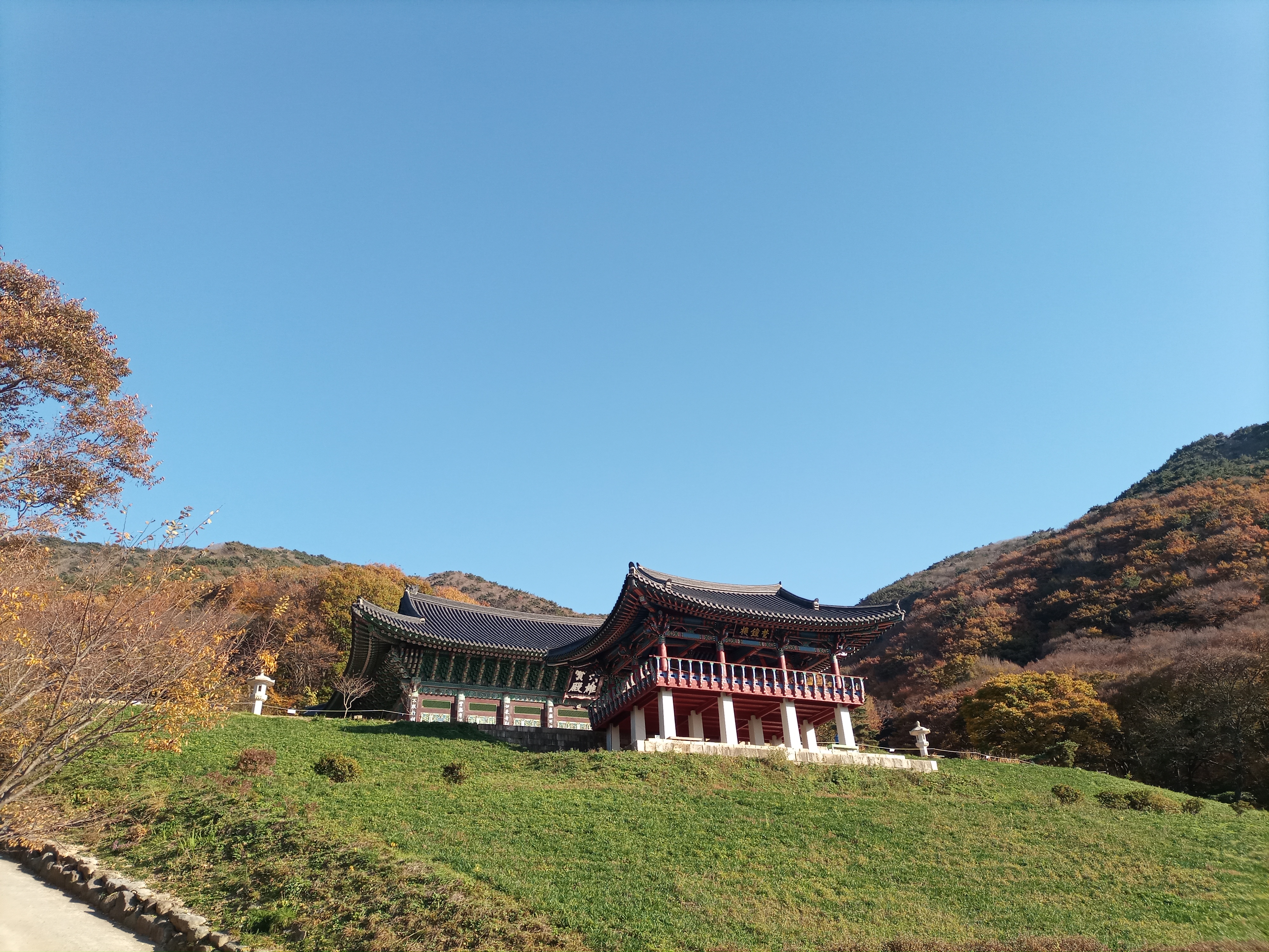 코코호도 모라점
