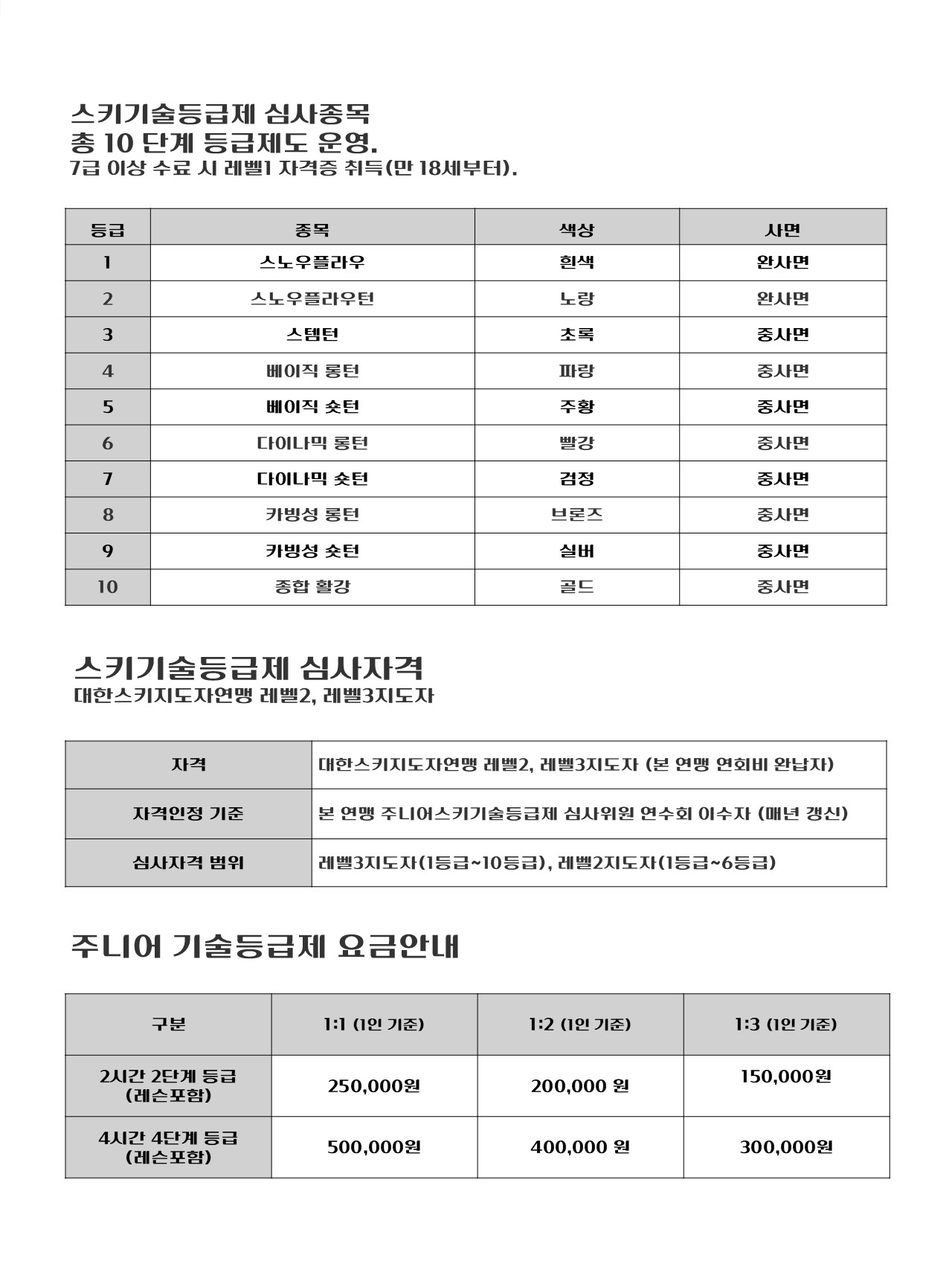 엘리시안 강촌 스키강습 더케이 스키스쿨