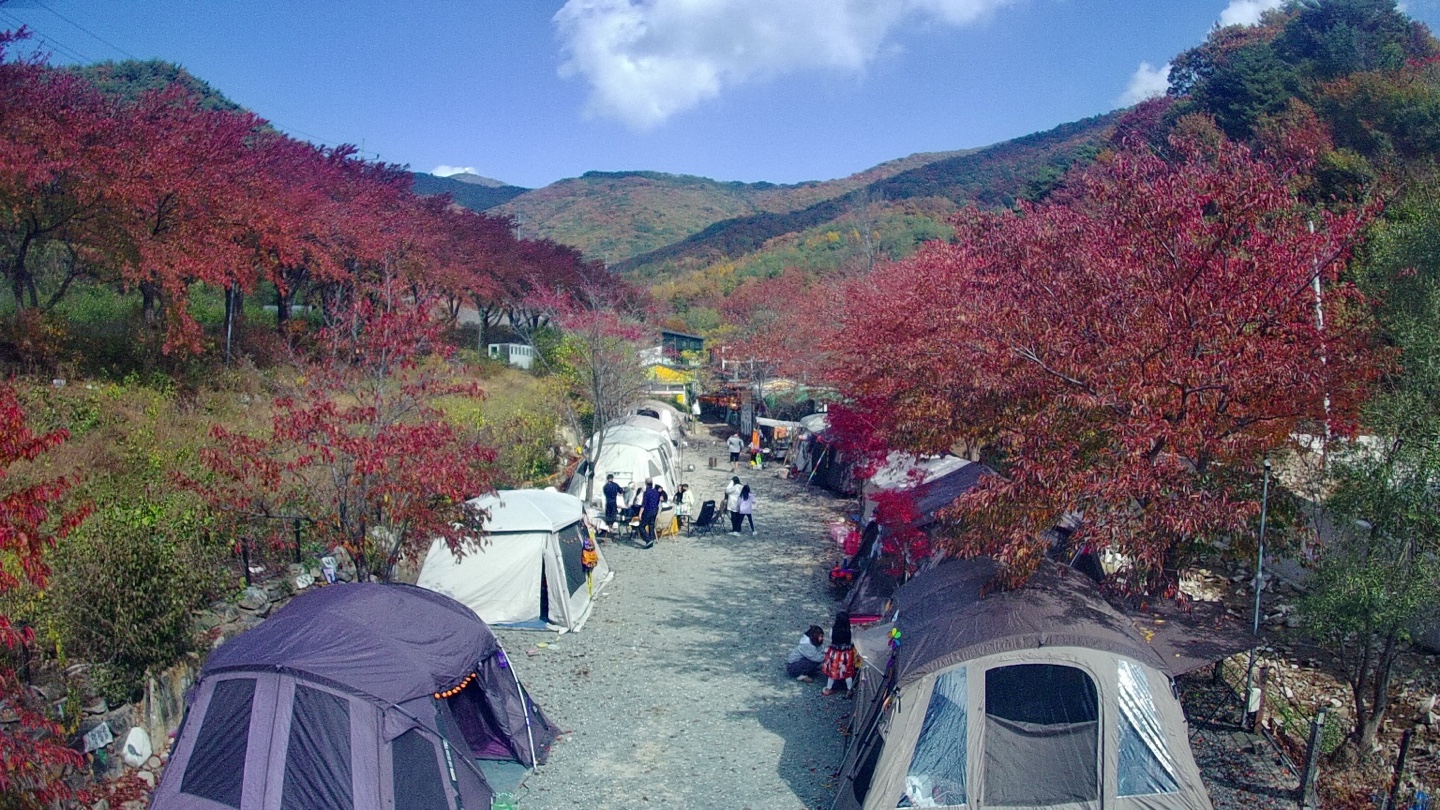 천문대 별빛정원