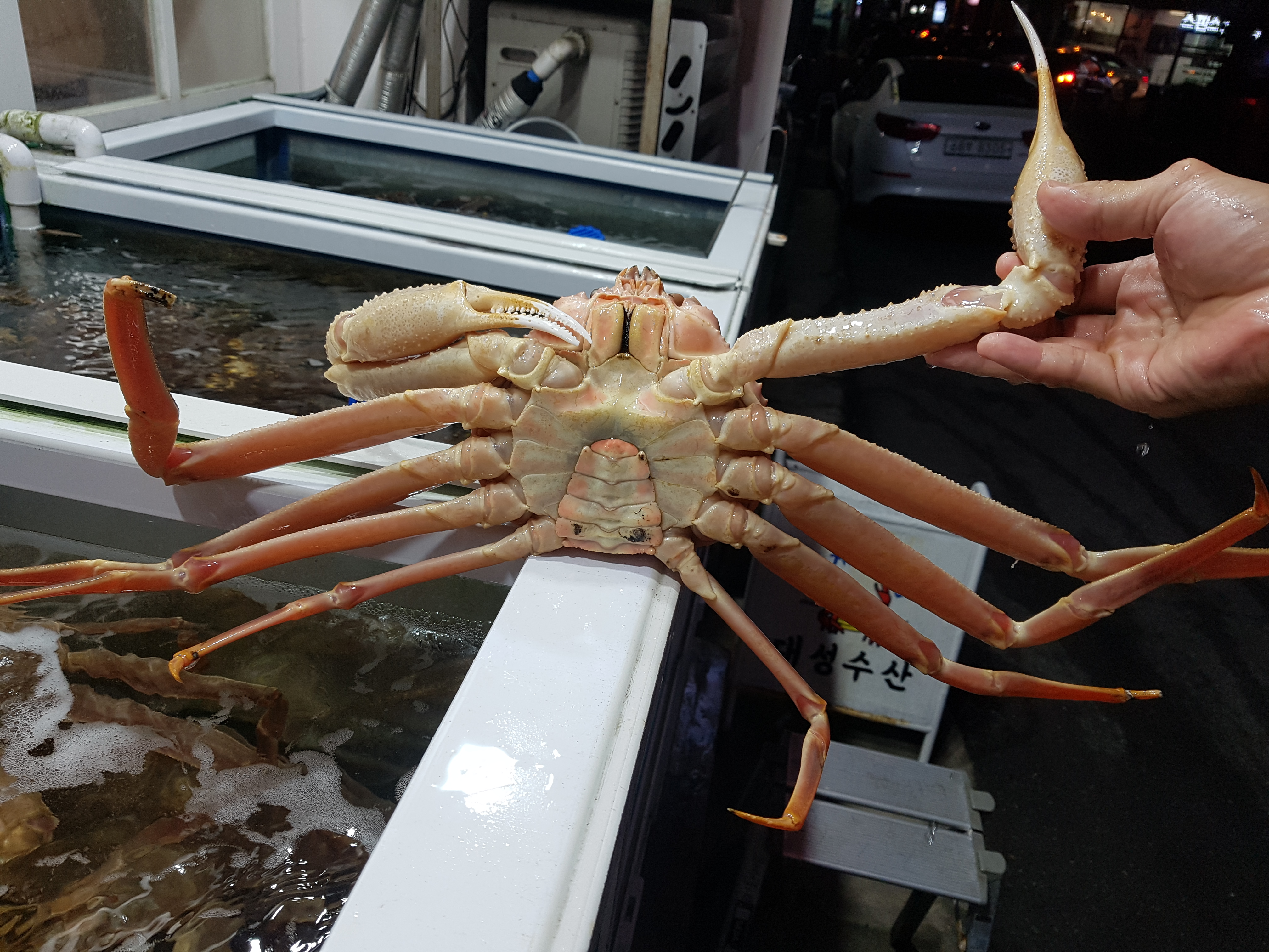대성수산 대게직판점 창원점