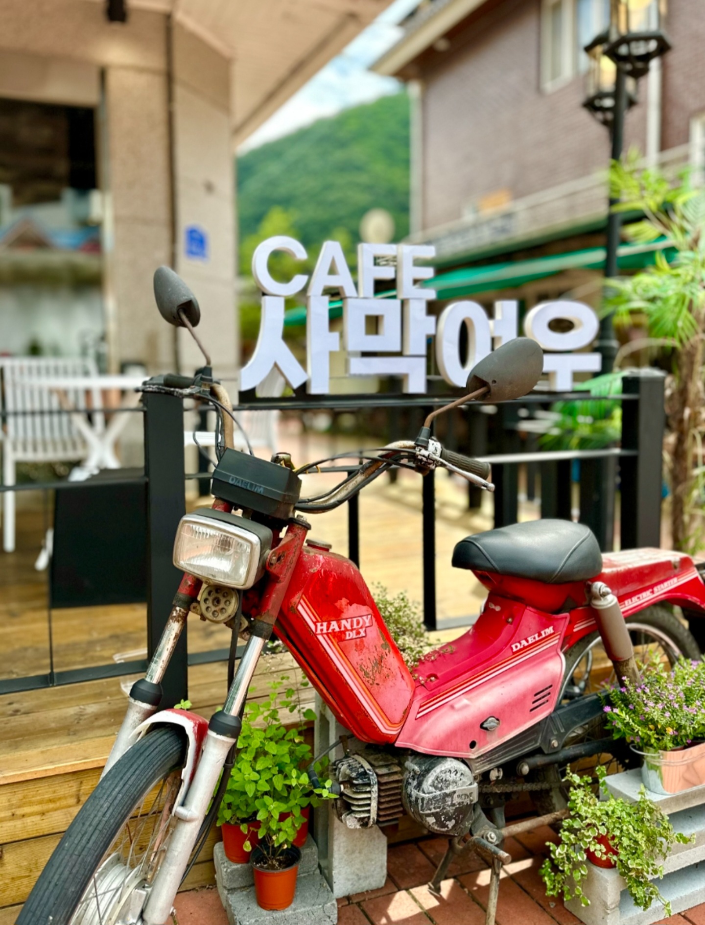 사막여우로스터리카페 설명사진