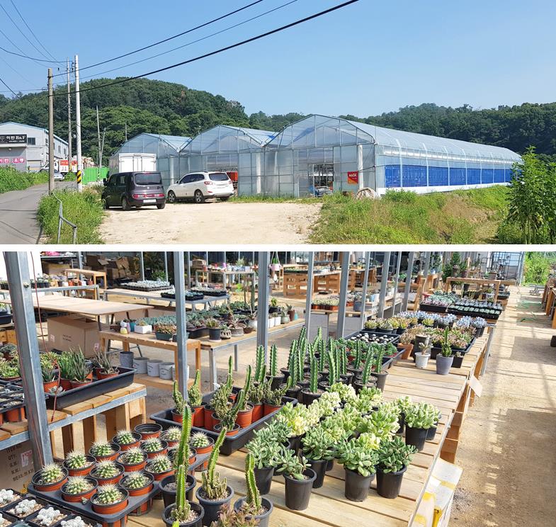 진바스 대표 이미지