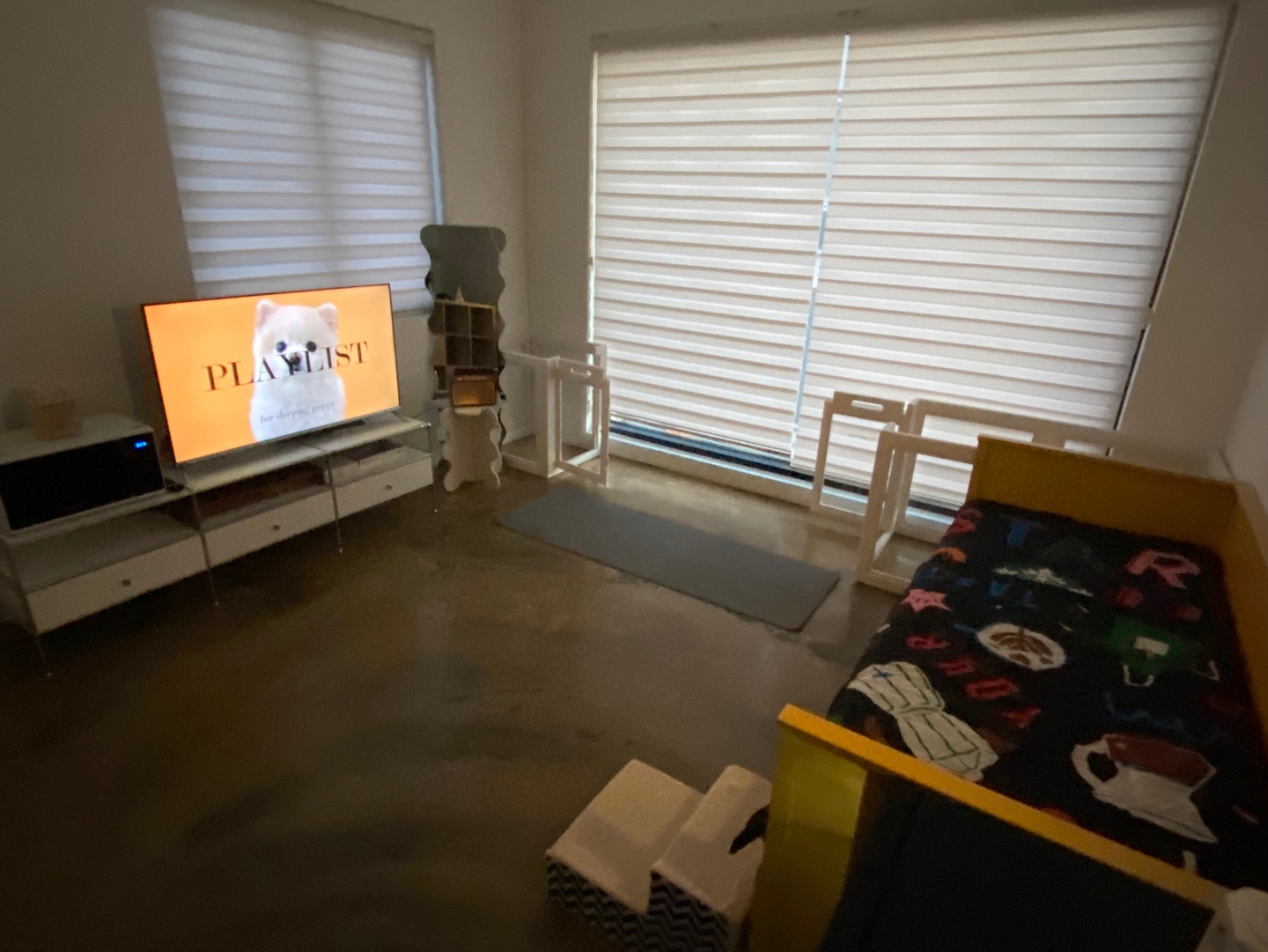 시몬 애견유치원&애견호텔 대표 이미지