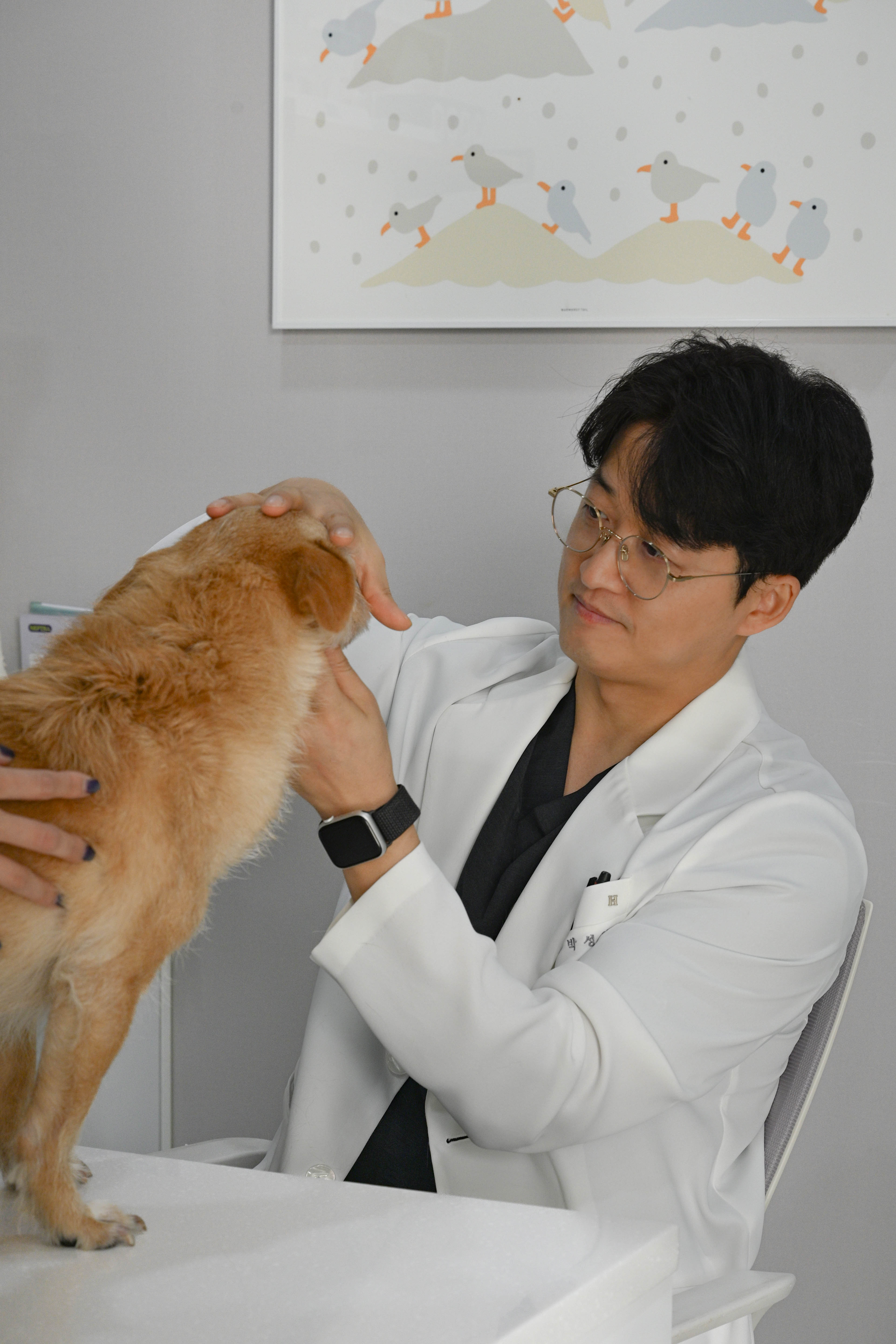 일산클래식동물병원 대표 이미지
