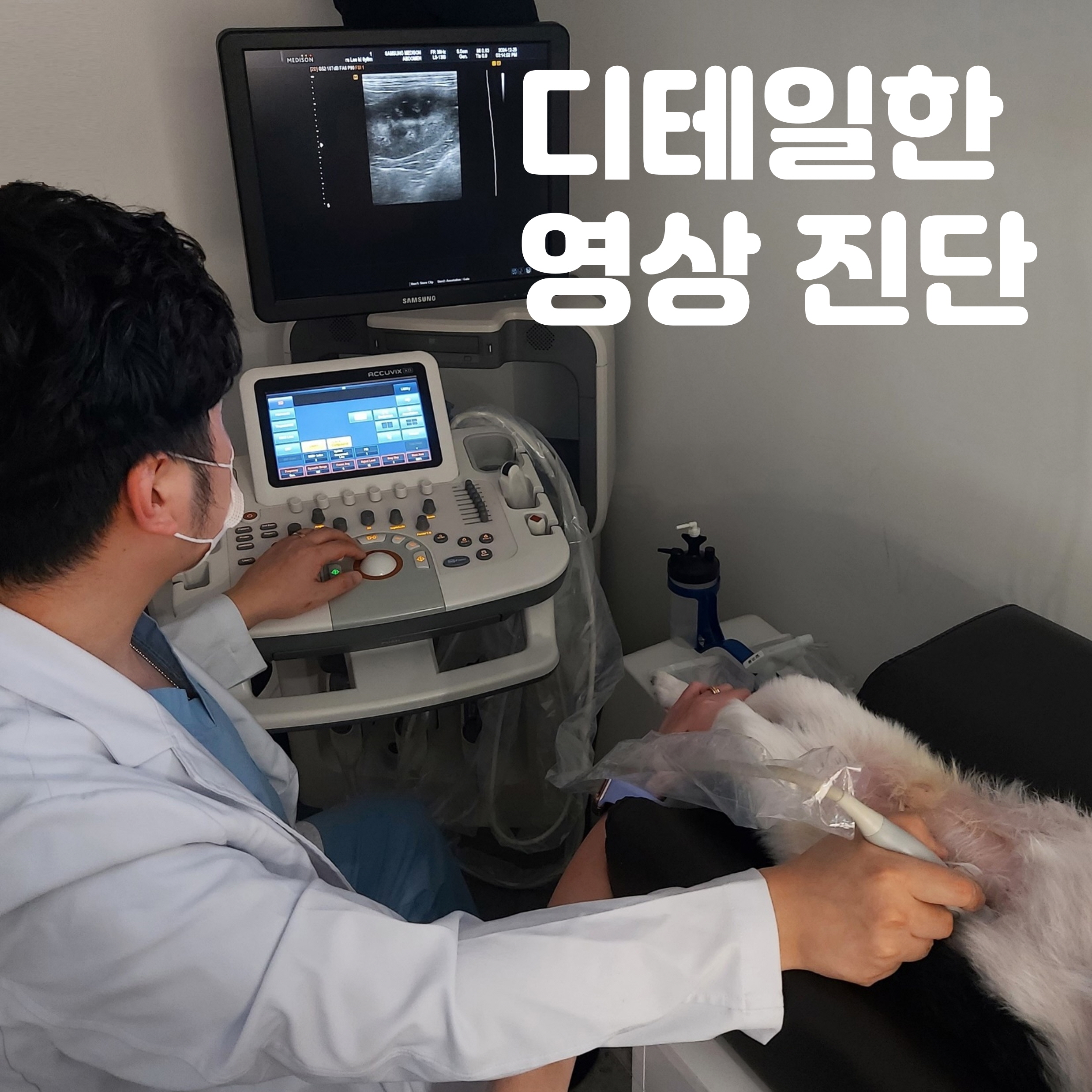 디테일 동물의료센터 대표 이미지