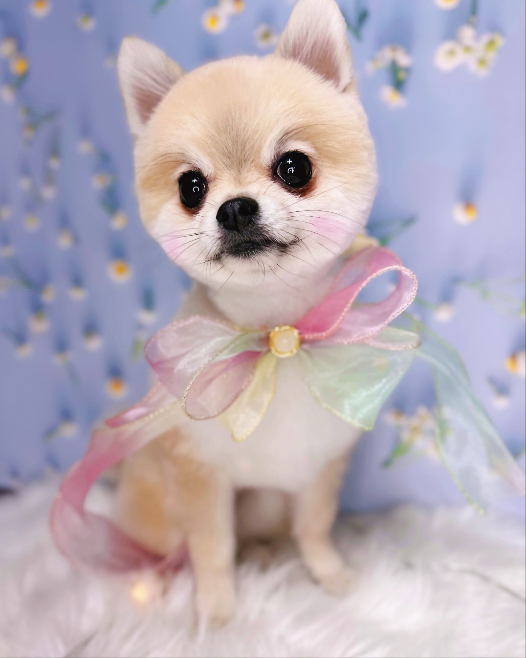 개설렘 대표 이미지