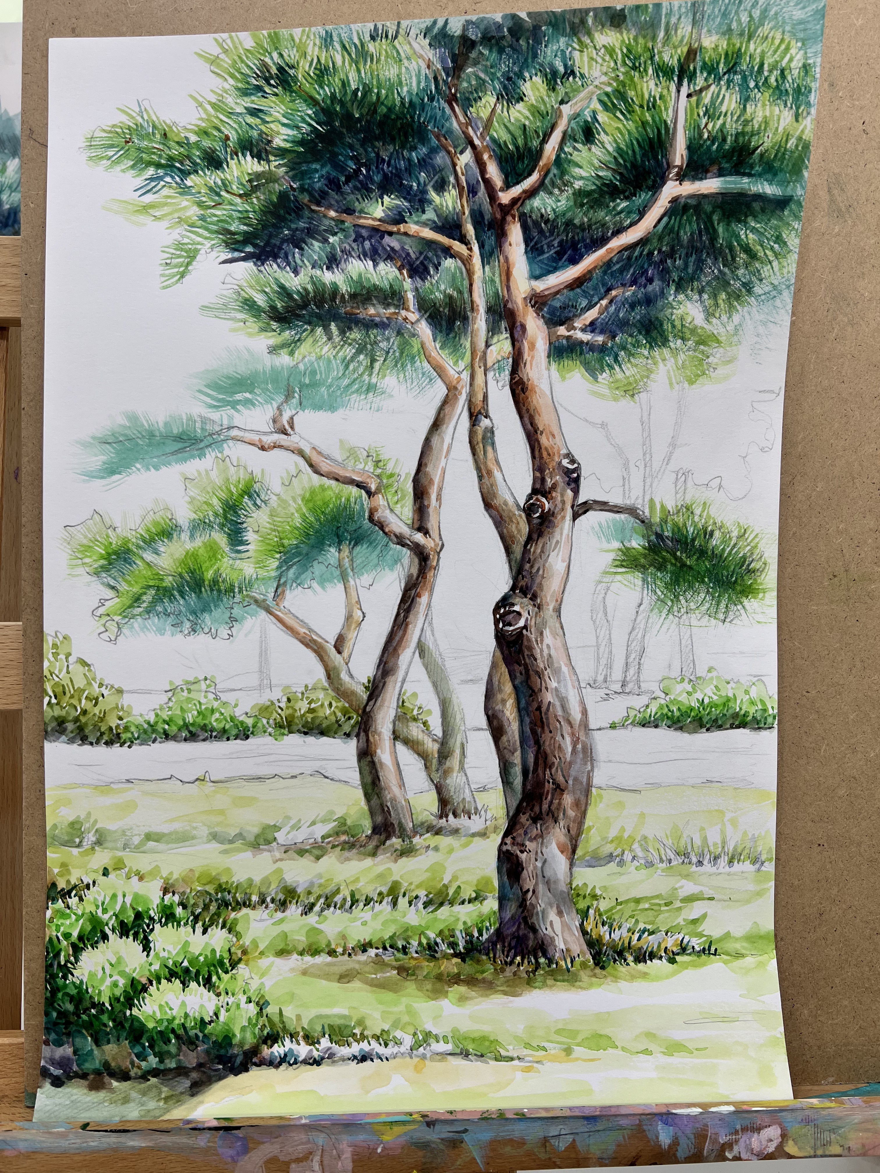 숲아트미술학원