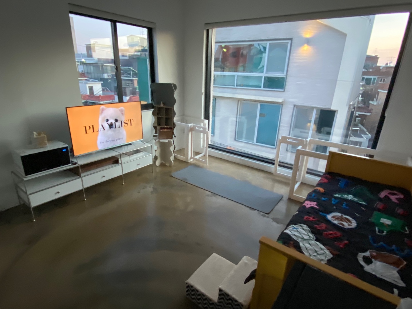 시몬 애견유치원&애견호텔 대표 이미지